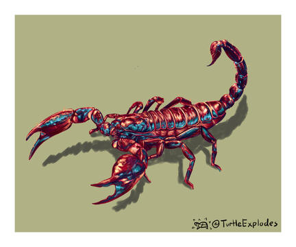 Scorpion